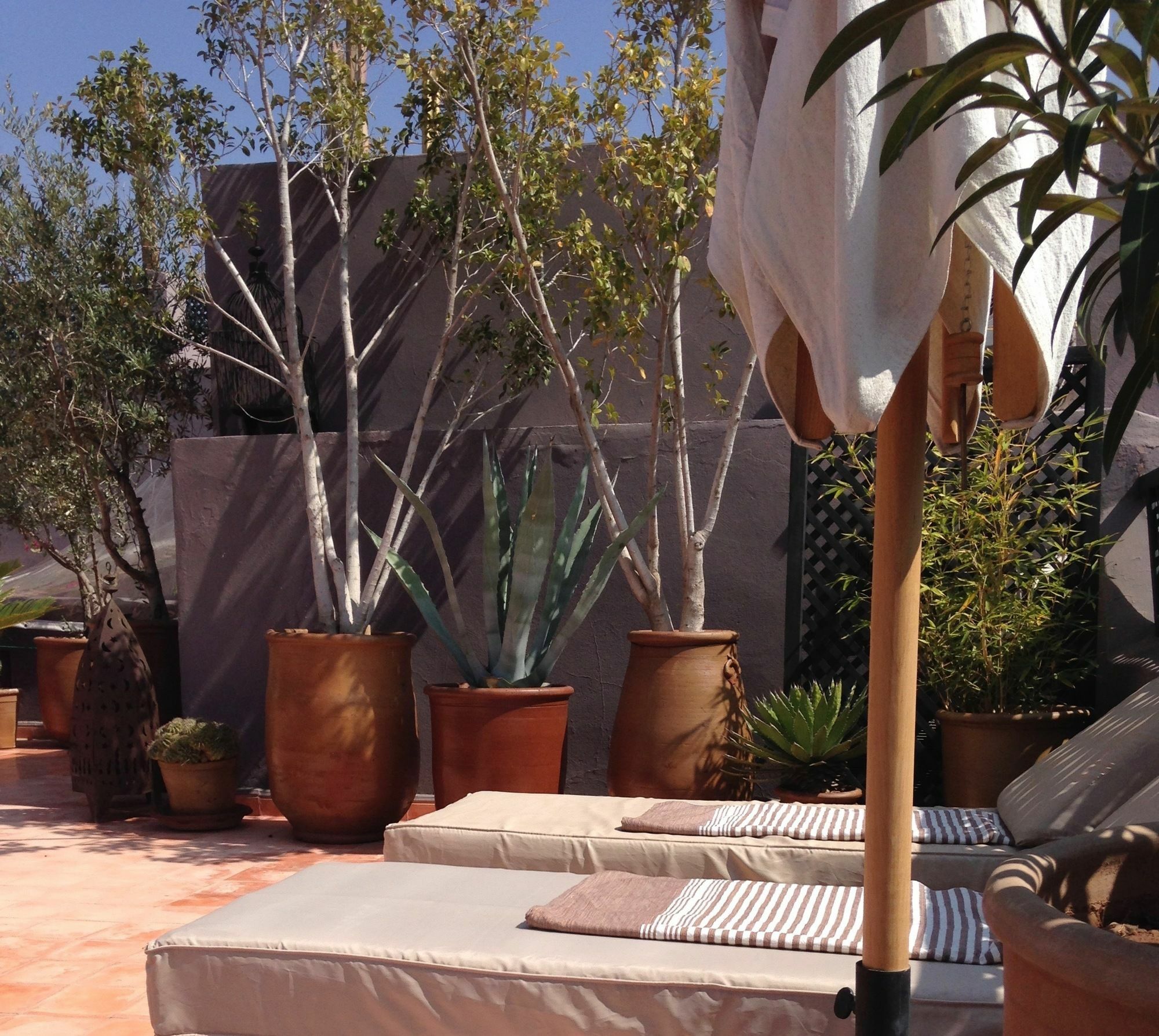 Riad Timila มาร์ราเกช ภายนอก รูปภาพ